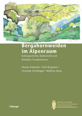 Kiebacher / Bergamini / Scheidegger | Bergahornweiden im Alpenraum | E-Book | sack.de