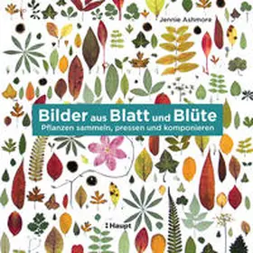 Ashmore / Kuhlmann | Bilder aus Blatt und Blüte | Buch | 978-3-258-60206-6 | sack.de