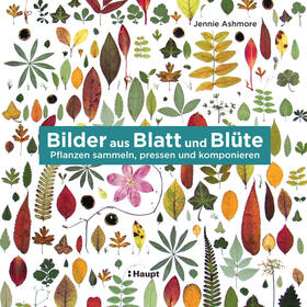 Ashmore | Bilder aus Blatt und Blüte | Buch | 978-3-258-60206-6 | sack.de