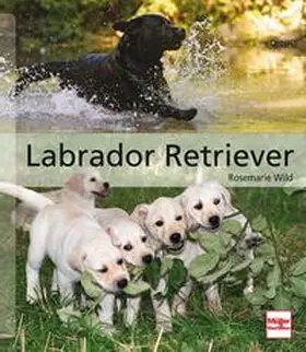 Wild |  Labrador Retriever | Buch |  Sack Fachmedien
