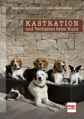 Gansloßer / Strodtbeck |  Kastration und Verhalten beim Hund - Eine Entscheidungshilfe | Buch |  Sack Fachmedien