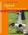 Schmidt / Mattes |  Flyball | Buch |  Sack Fachmedien