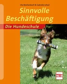 Reichenbach / Lehari |  Sinnvolle Beschäftigung | Buch |  Sack Fachmedien