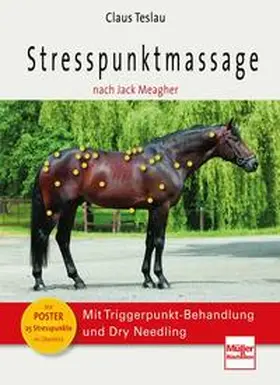 Teslau |  Stresspunktmassage nach Jack Meagher | Buch |  Sack Fachmedien