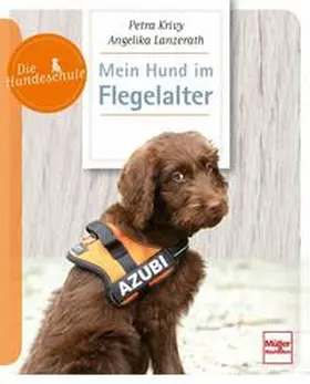 Lanzerath / Krivy |  Mein Hund im Flegelalter | Buch |  Sack Fachmedien