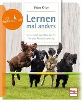 Krivy |  Lernen - mal anders | Buch |  Sack Fachmedien