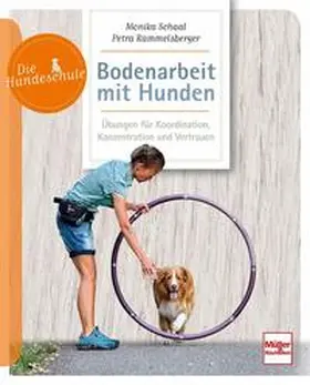 Schaal / Rammelsberger |  Bodenarbeit mit Hunden | Buch |  Sack Fachmedien