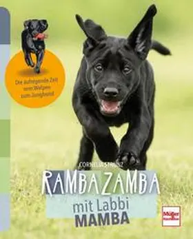 Strunz |  Rambazamba mit Labbi Mamba | Buch |  Sack Fachmedien