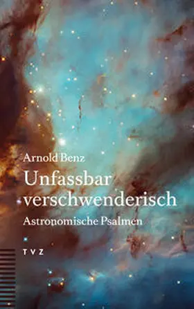 Benz |  Unfassbar verschwenderisch | Buch |  Sack Fachmedien