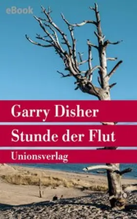 Disher | Stunde der Flut | E-Book | www.sack.de