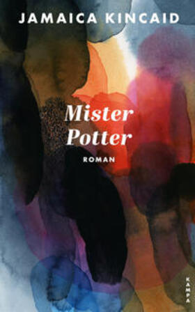 Kincaid | Mr. Potter | Buch | 978-3-311-10071-3 | sack.de