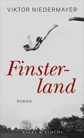 Niedermayer |  Finsterland | eBook | Sack Fachmedien