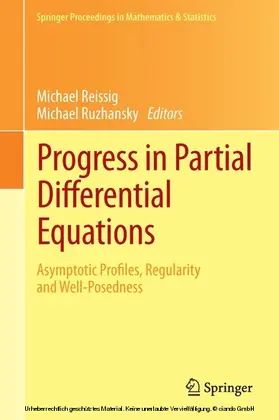 Reissig / Ruzhansky | Progress in Partial Differential Equations | E-Book | sack.de