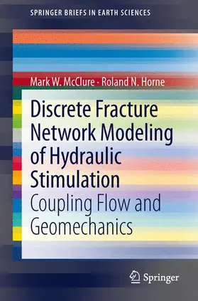 Horne / McClure | Discrete Fracture Network Modeling of Hydraulic Stimulation | Buch | 978-3-319-00382-5 | sack.de
