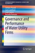Pozzoli / Landriani / Lepore |  Governance and Performance of Water Utility Firms | eBook | Sack Fachmedien