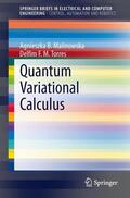 Torres / Malinowska |  Quantum Variational Calculus | Buch |  Sack Fachmedien