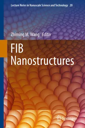 Wang | FIB Nanostructures | E-Book | sack.de