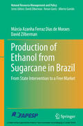 Ferraz Dias de Moraes / Zilberman |  Production of Ethanol from Sugarcane in Brazil | eBook | Sack Fachmedien