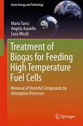 Turco / Micoli / Ausiello |  Treatment of Biogas for Feeding High Temperature Fuel Cells | Buch |  Sack Fachmedien
