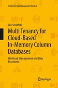Schaffner |  Multi Tenancy for Cloud-Based In-Memory Column Databases | Buch |  Sack Fachmedien