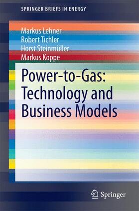 Lehner / Koppe / Tichler |  Power-to-Gas: Technology and Business Models | Buch |  Sack Fachmedien