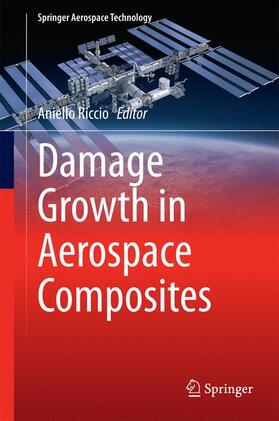 Riccio | Damage Growth in Aerospace Composites | Buch | 978-3-319-04003-5 | sack.de