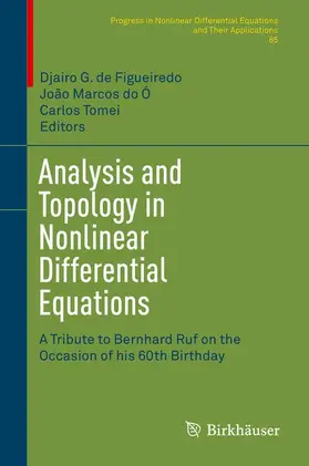 de Figueiredo / Tomei / do Ó |  Analysis and Topology in Nonlinear Differential Equations | Buch |  Sack Fachmedien