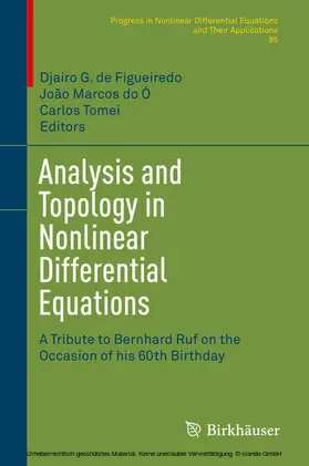 de Figueiredo / do Ó / Tomei | Analysis and Topology in Nonlinear Differential Equations | E-Book | sack.de