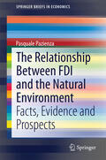 Pazienza |  The Relationship Between FDI and the Natural Environment | eBook | Sack Fachmedien