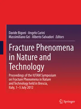 Bigoni / Carini / Gei |  Fracture Phenomena in Nature and Technology | Buch |  Sack Fachmedien