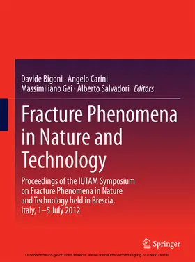 Bigoni / Carini / Gei |  Fracture Phenomena in Nature and Technology | eBook | Sack Fachmedien