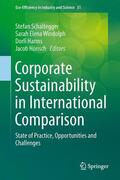 Schaltegger / Hörisch / Windolph |  Corporate Sustainability in International Comparison | Buch |  Sack Fachmedien