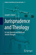 David |  Jurisprudence and Theology | eBook | Sack Fachmedien