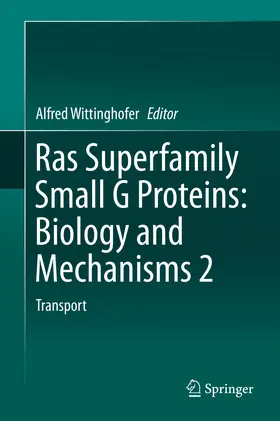 Wittinghofer | Ras Superfamily Small G Proteins: Biology and Mechanisms 2 | E-Book | www.sack.de