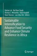 Lal / Singh / Eik |  Sustainable Intensification to Advance Food Security and Enhance Climate Resilience in Africa | Buch |  Sack Fachmedien