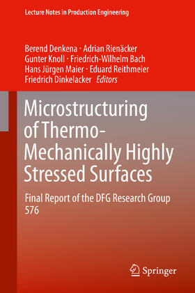 Denkena / Rienäcker / Knoll |  Microstructuring of Thermo-Mechanically Highly Stressed Surfaces | eBook | Sack Fachmedien