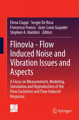 Ciappi / De Rosa / Franco | Flinovia - Flow Induced Noise and Vibration Issues and Aspects | E-Book | www.sack.de