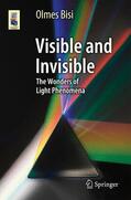 Bisi |  Visible and Invisible | Buch |  Sack Fachmedien