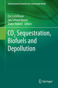 Lichtfouse / Schwarzbauer / Robert |  CO2 Sequestration, Biofuels and Depollution | eBook | Sack Fachmedien