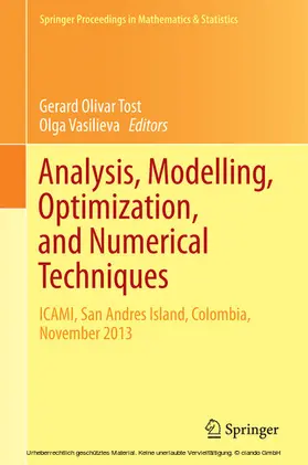 Tost / Vasilieva | Analysis, Modelling, Optimization, and Numerical Techniques | E-Book | www.sack.de