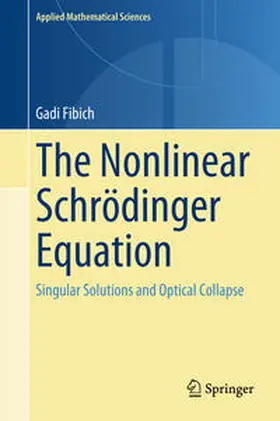 Fibich | The Nonlinear Schrödinger Equation | E-Book | www.sack.de