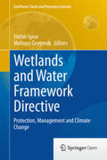Grygoruk / Ignar |  Wetlands and Water Framework Directive | Buch |  Sack Fachmedien