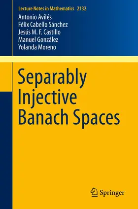 Avilés / Cabello Sánchez / Castillo |  Separably Injective Banach Spaces | Buch |  Sack Fachmedien