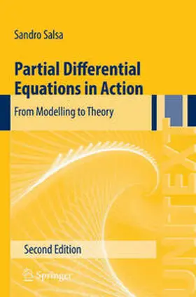 Salsa |  Partial Differential Equations in Action | eBook | Sack Fachmedien