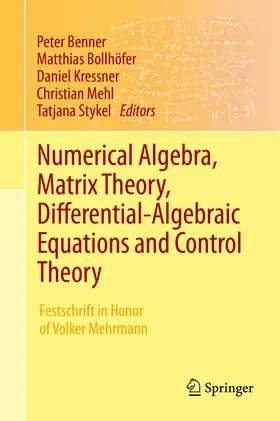 Benner / Bollhöfer / Kressner |  Numerical Algebra, Matrix Theory, Differential-Algebraic Equations and Control Theory | eBook | Sack Fachmedien
