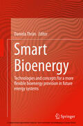Thrän |  Smart Bioenergy | eBook | Sack Fachmedien