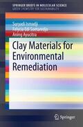 Ismadji / Ayucitra / Soetaredjo |  Clay Materials for Environmental Remediation | Buch |  Sack Fachmedien