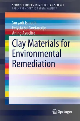 Ismadji / Soetaredjo / Ayucitra | Clay Materials for Environmental Remediation | E-Book | sack.de