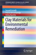 Ismadji / Soetaredjo / Ayucitra |  Clay Materials for Environmental Remediation | eBook | Sack Fachmedien