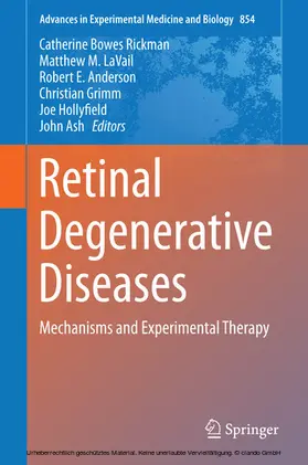 Bowes Rickman / LaVail / Anderson |  Retinal Degenerative Diseases | eBook | Sack Fachmedien